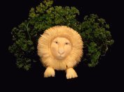 Parsley the Lion